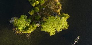 Overhead shot of kayak being paddle beside an island