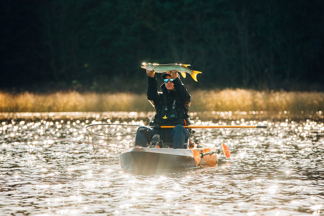 kayak angler holds up fish in sunlight caught while wearing an ONYX inflatable life jacket